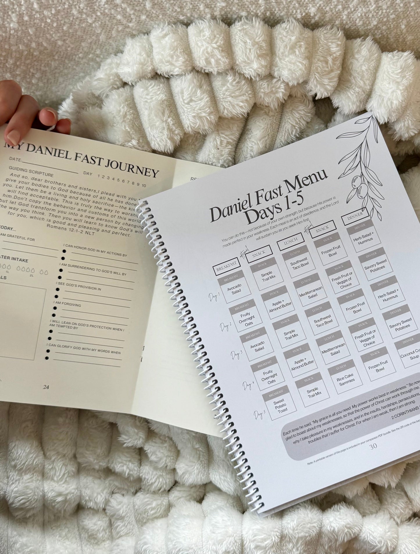 ✨Daniel Fast Premium Bundle (PRE-ORDER | Ships Mid-Late January 2026)